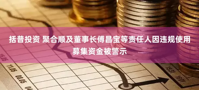 括普投資 聚合順及董事長傅昌寶等責(zé)任人因違規(guī)使用募集資金被警示