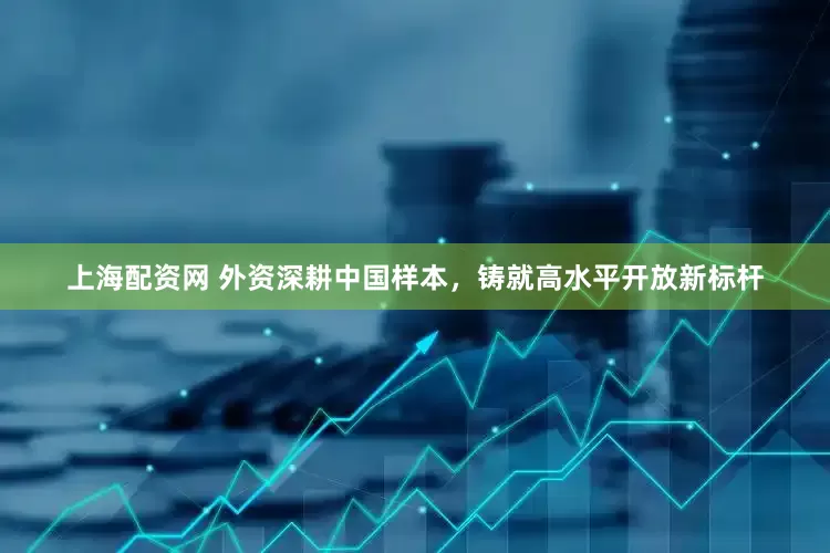 上海配資網(wǎng) 外資深耕中國樣本，鑄就高水平開放新標(biāo)桿