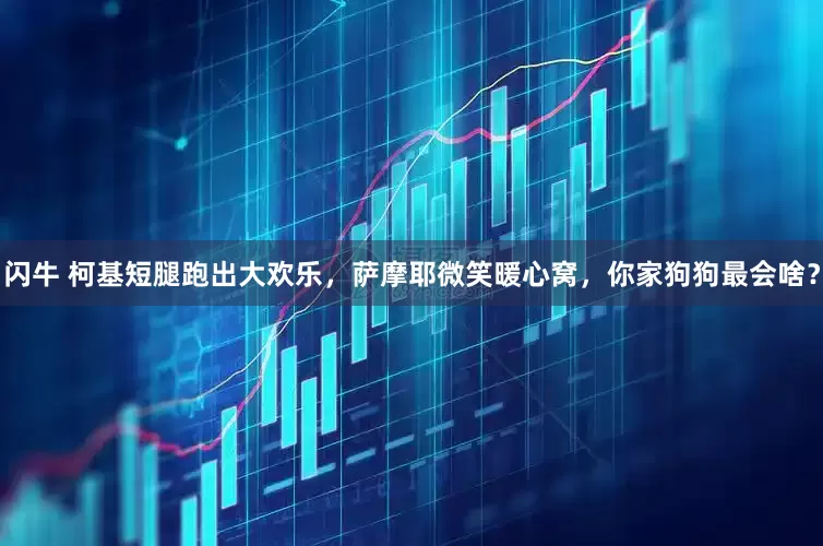 閃牛 柯基短腿跑出大歡樂，薩摩耶微笑暖心窩，你家狗狗最會啥？